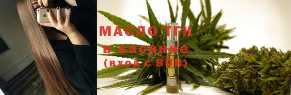 индика Новокубанск