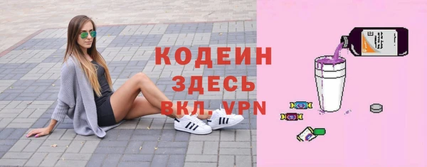 индика Новокубанск