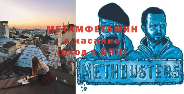 индика Новокубанск