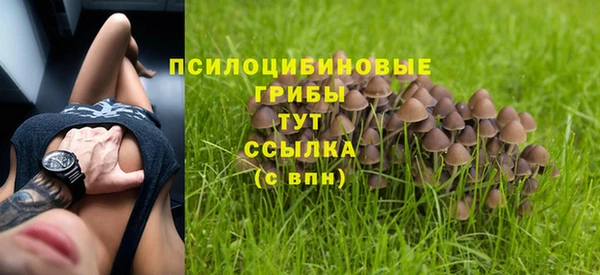 гашик Болхов
