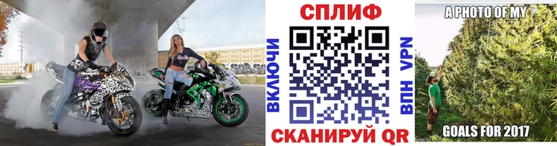 купить наркотики сайты  Тырныауз  Шишки марихуана тримм 